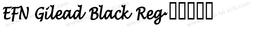 EFN Gilead Black Reg字体转换